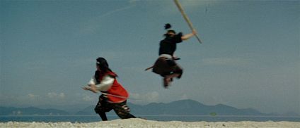 miyamoto musashi 5c.jpg